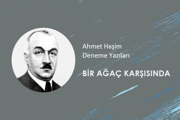 Ahmet Haşim - Bir Ağaç Karşısında