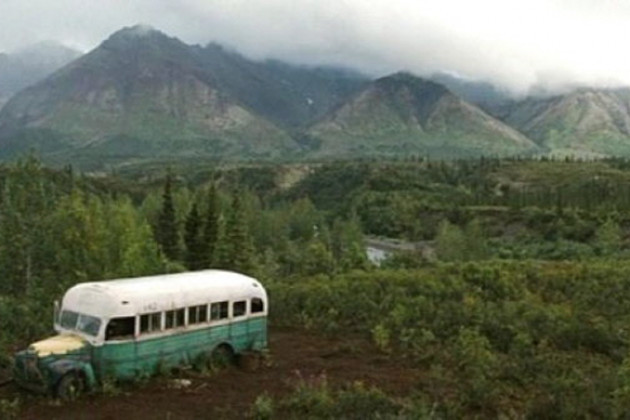 Bir dikenin hikayesi: C. J. McCandless