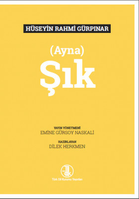 Ayna - Şık