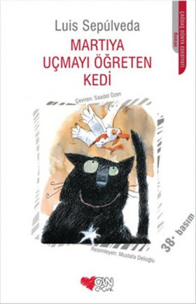 Martıya Uçmayı Öğreten Kedi