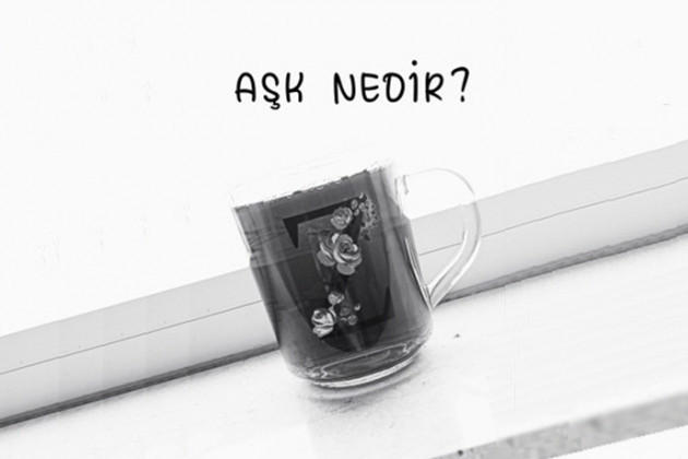 Aşk Nedir?