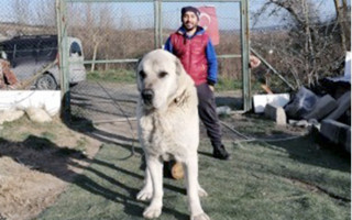 "Bu iş vicdan, gönül işi"